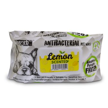 Absorb Plus Υγρά Μαντηλάκια 15x20cm Lemon 80τμχ